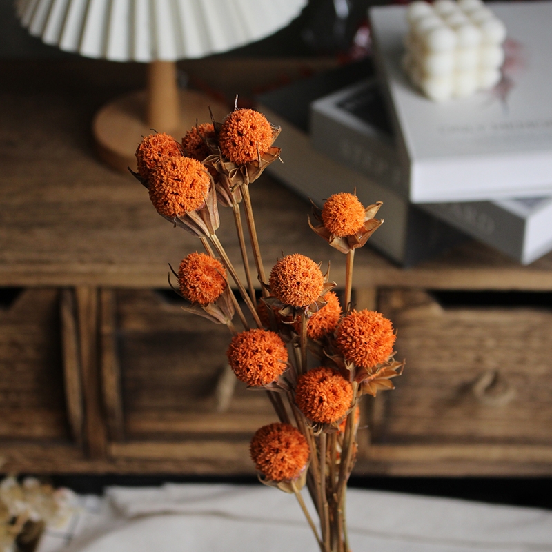 Dried Lulutong (Liquidambar) Flower Stems - Rustic Everlasting Decor Blooms - Image 4