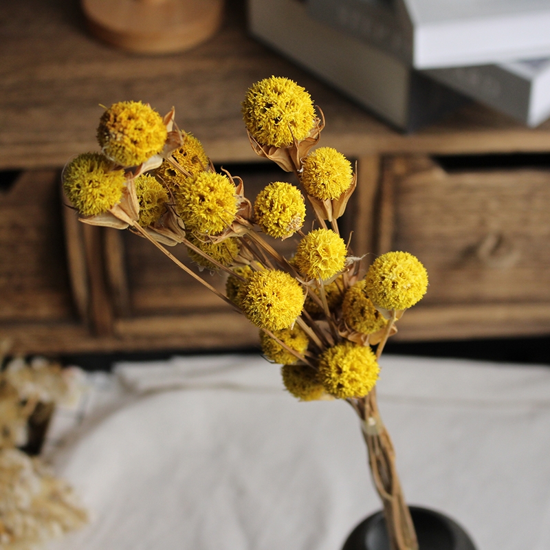 Dried Lulutong (Liquidambar) Flower Stems - Rustic Everlasting Decor Blooms - Image 5