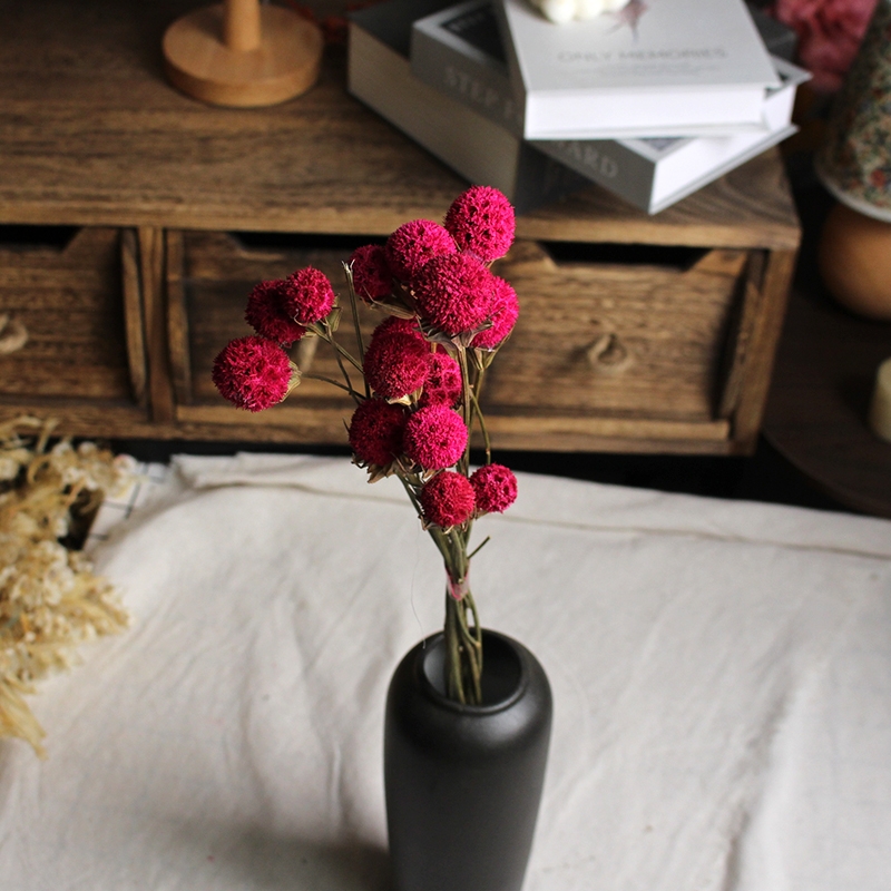Dried Lulutong (Liquidambar) Flower Stems - Rustic Everlasting Decor Blooms - Image 6