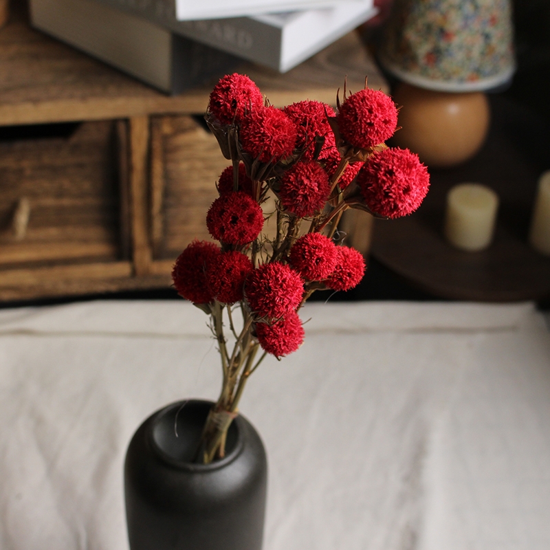 Dried Lulutong (Liquidambar) Flower Stems - Rustic Everlasting Decor Blooms - Image 7