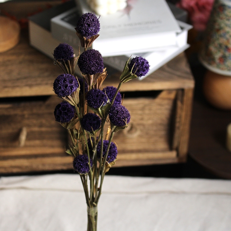 Dried Lulutong (Liquidambar) Flower Stems - Rustic Everlasting Decor Blooms - Image 8