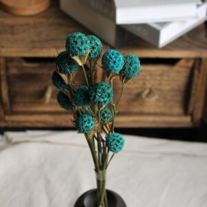 Dried Lulutong (Liquidambar) Flower Stems - Rustic Everlasting Decor Blooms