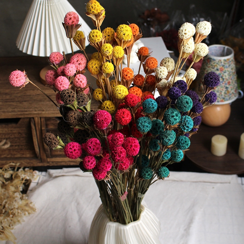 Dried Lulutong (Liquidambar) Flower Stems - Rustic Everlasting Decor Blooms - Image 10