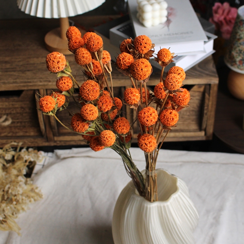 Dried Lulutong (Liquidambar) Flower Stems - Rustic Everlasting Decor Blooms - Image 11